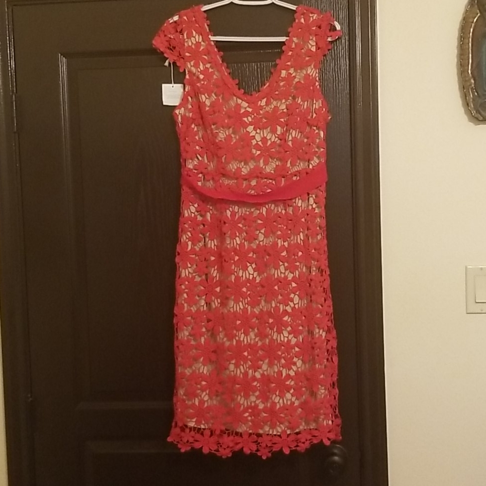 Brand new hoss lace dress
